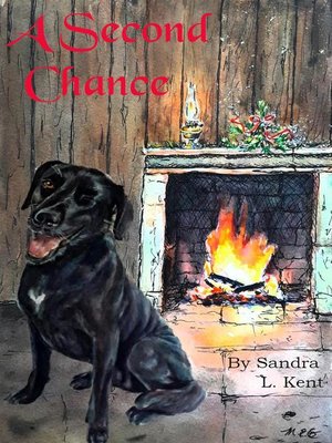 cover image of A Second Chance